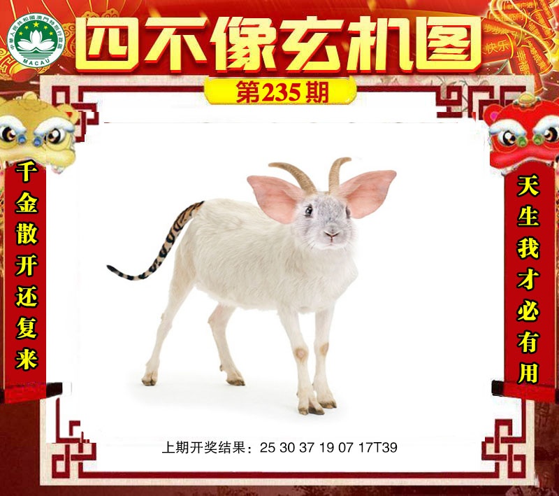 点击图片放大